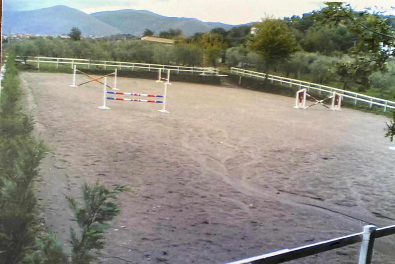 La Tenuta Del Barone SantʼAgata deʼ Goti Exteriör bild